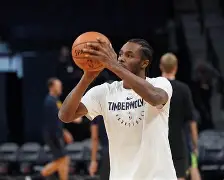 明尼苏达森林狼英文 明尼苏达森林狼英文